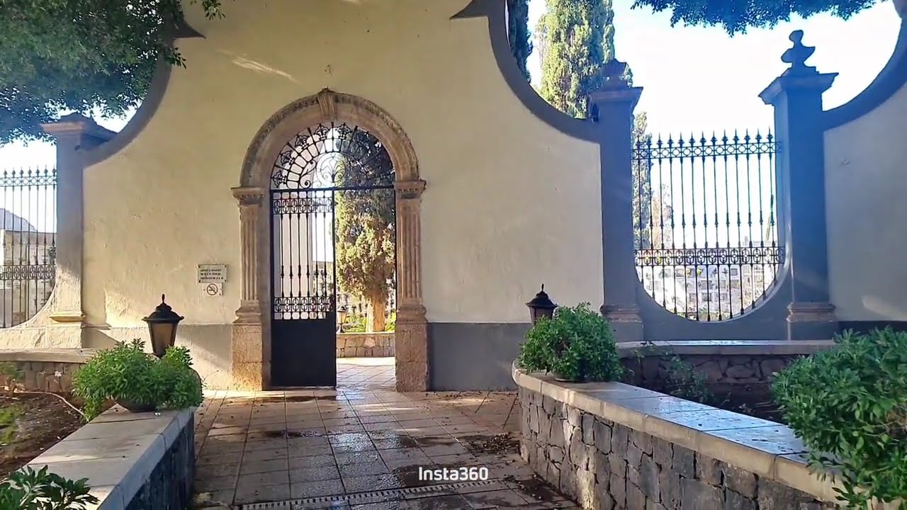 El rincón más tranquilo de Adeje: Jardines y Arte
