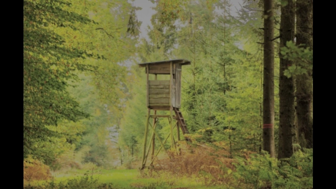 Jack Kerouac: Gammler, Zen und hohe Berge, gelesen von Marc Mann
