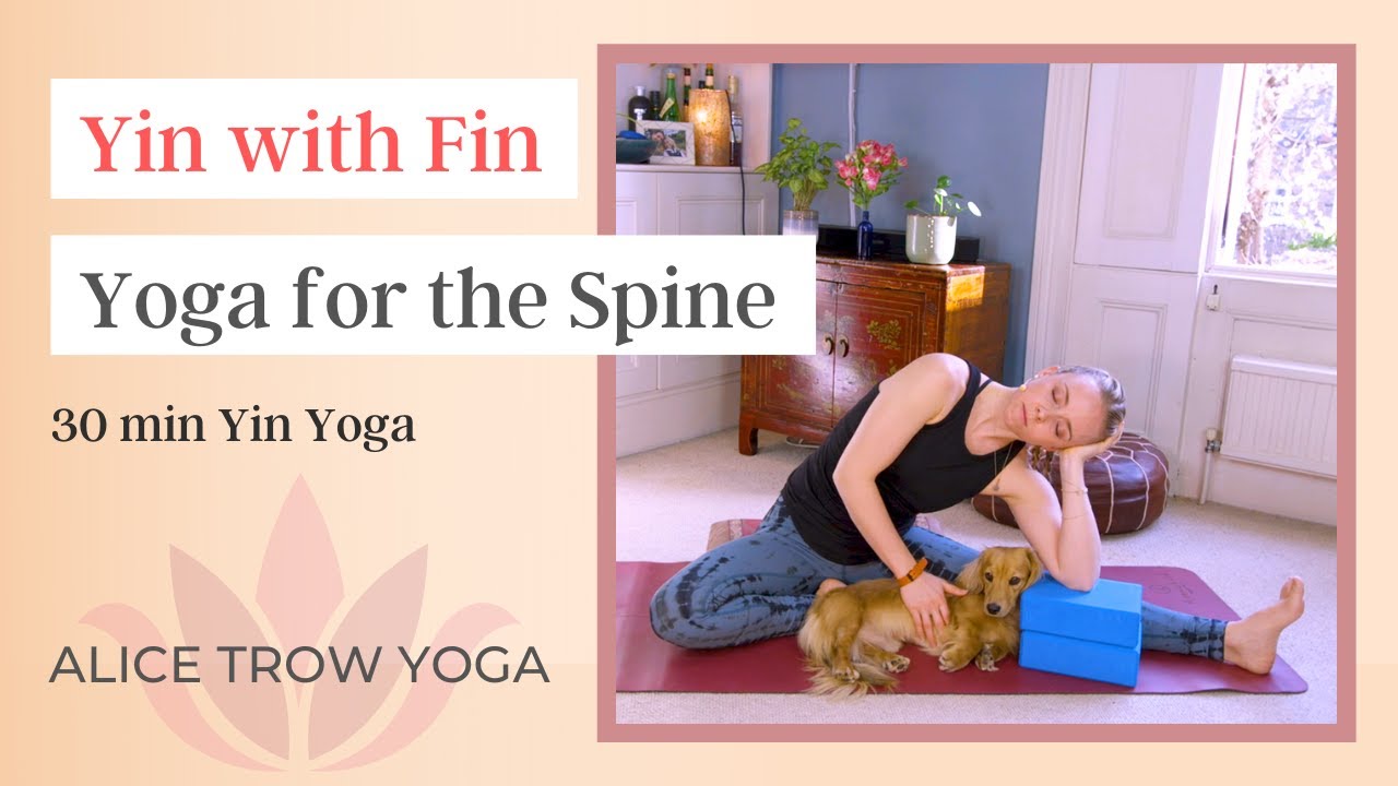 Yin with Fin (Yoga for the Spine) | Yin Yoga with Alice Trow