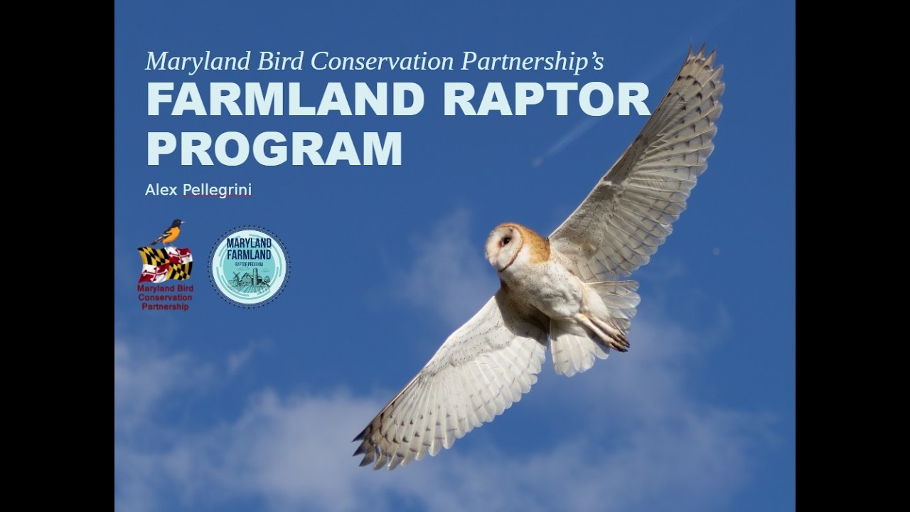 Farmland Raptor Program: Conserving Maryland’s Farmland Raptor