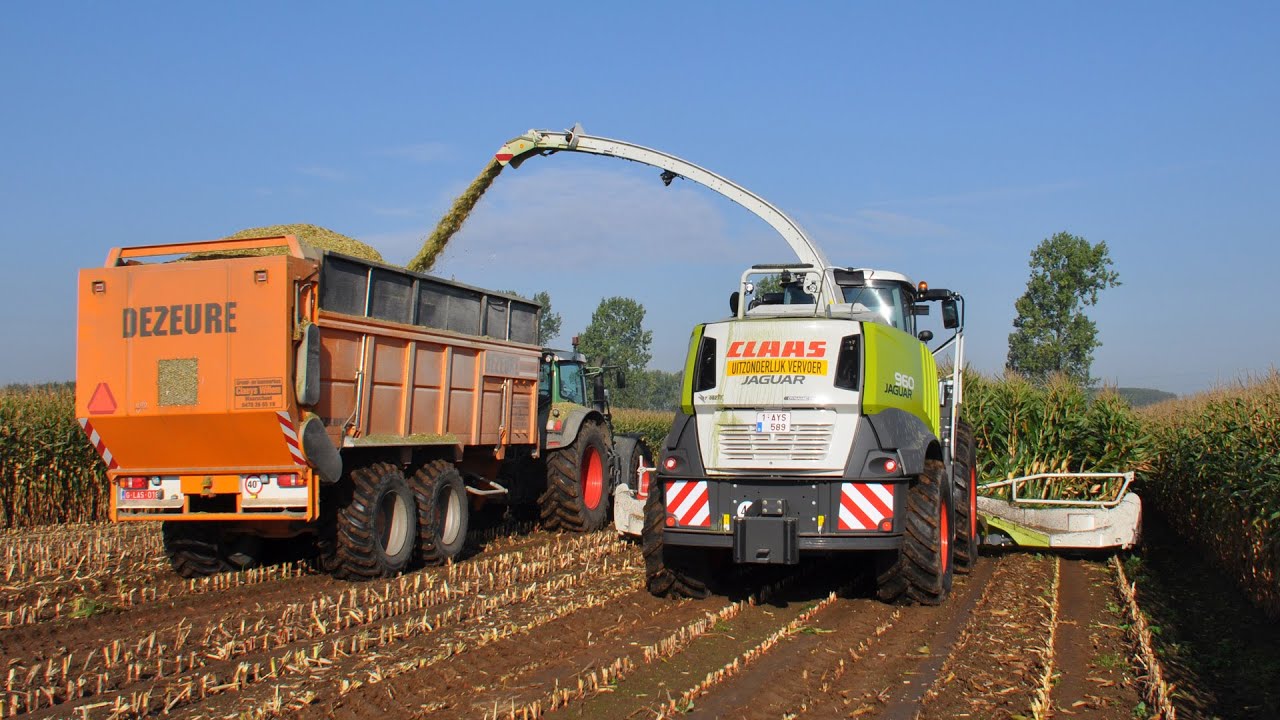 Claas Jaguar 960 - Loonw. Willem Claeys - mais 2014