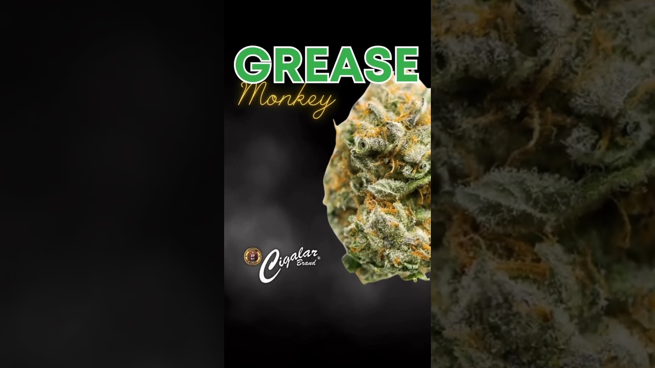 Grease Monkey