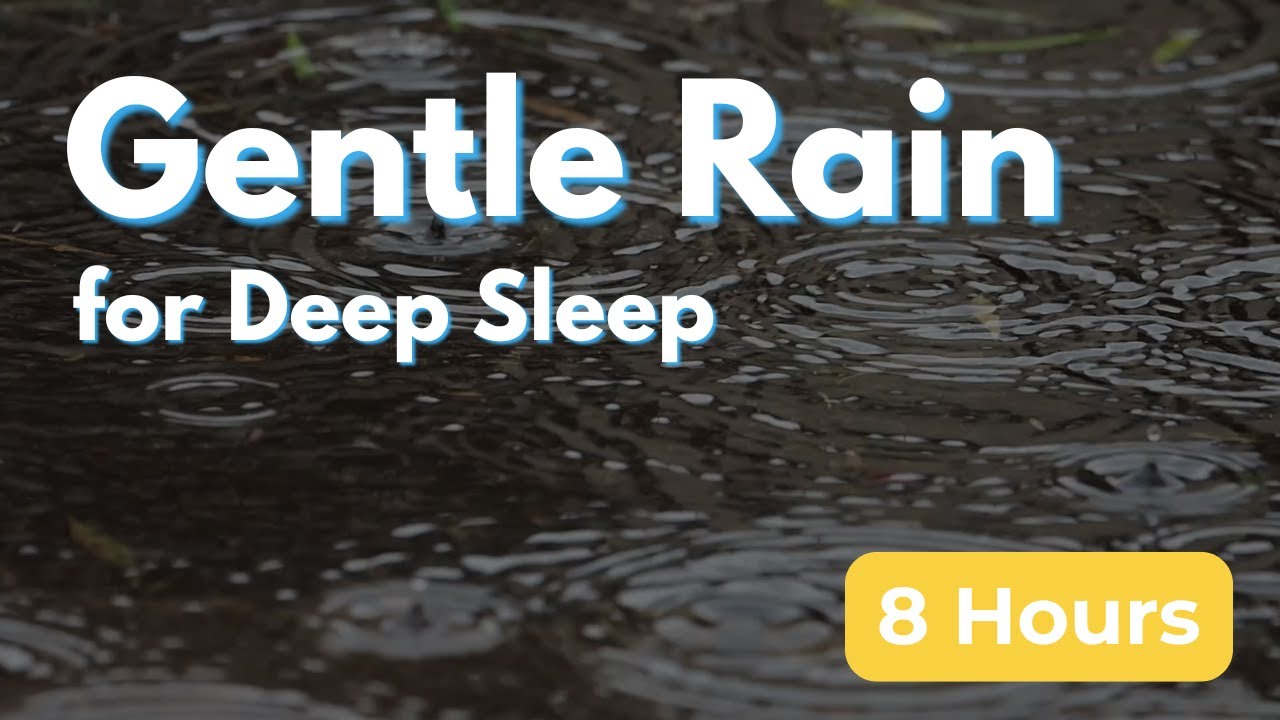 Gentle Rain (8 Hours) | Deep Sleep, Relaxation & Focus