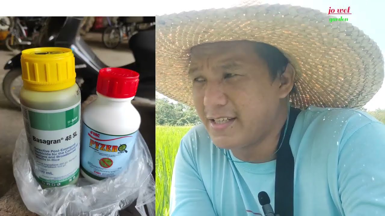 Weeds Control (basagran, pyzero)