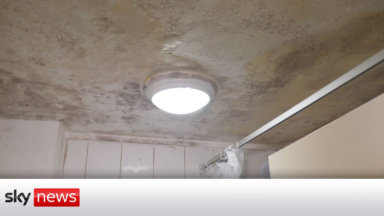Unliveable social housing: 'The mould is everywhere'