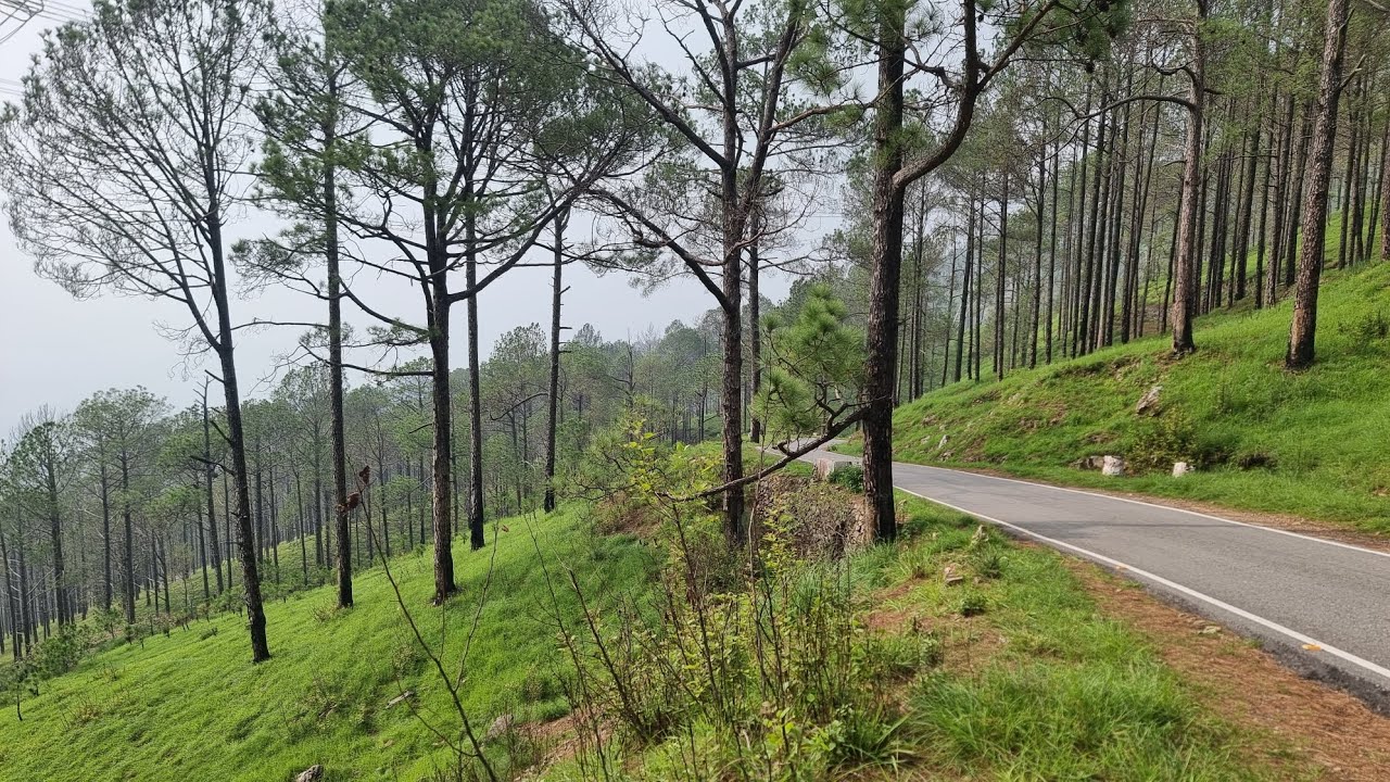 Badripur dehradun badri vihar plot size 22x51, 125 gaj entry road 30 feet asking 48000pg Nouth East 