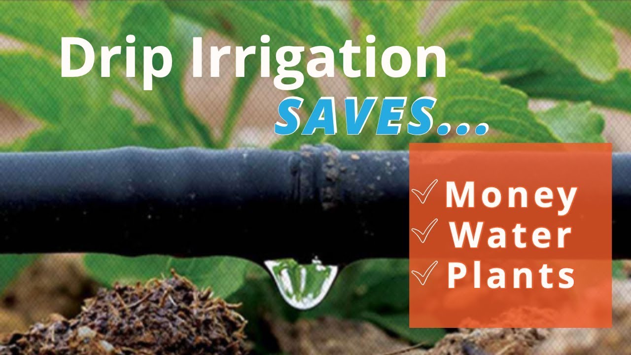 Drip Irrigation - Lee Engineering Company
