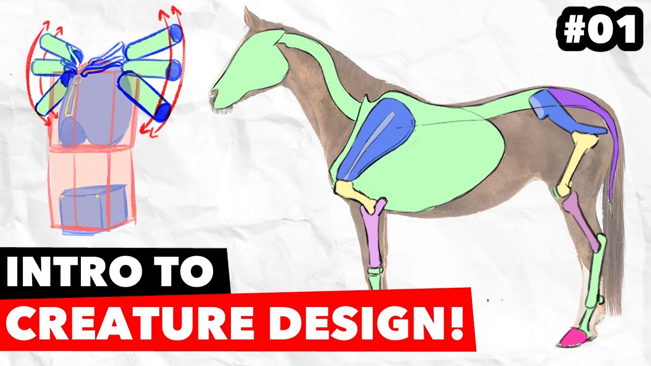 Intro to Human and Creature Anatomy! | Full Length Tutorial | Bootcamp Day 1