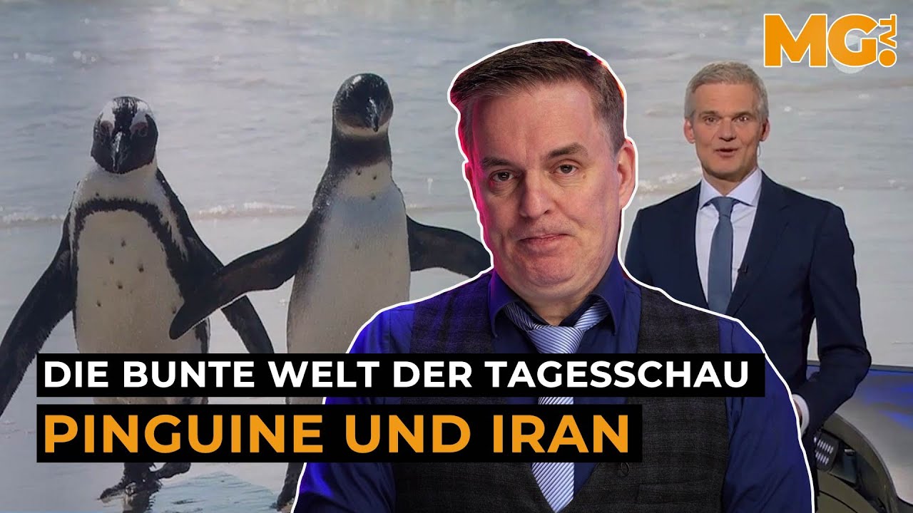 Iran, Grönland: Die Welt steht Kopf - aber die TAGESSCHAU berichtet über Pinguine