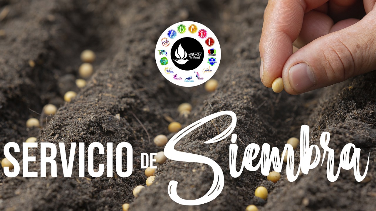 Servicio de Siembra - 8 de Febrero (Distrito 2)