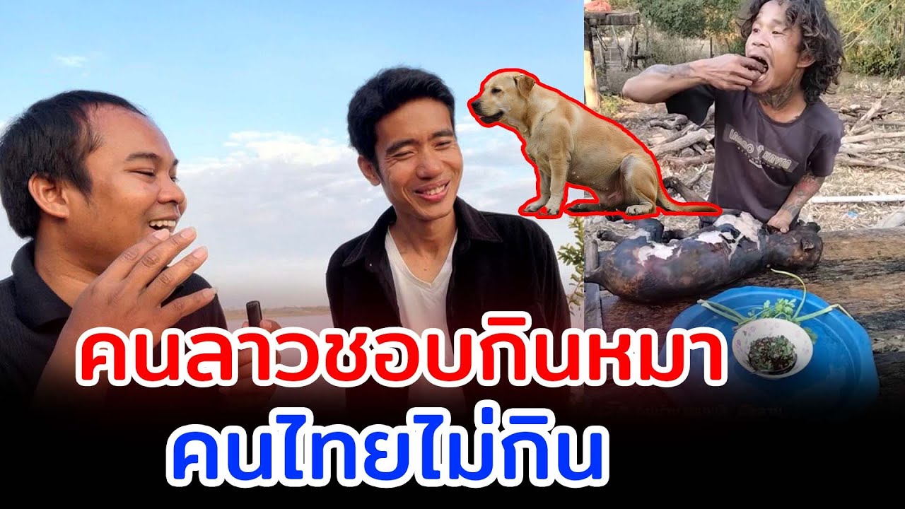 คนลาวชอบกินหมา คนไทยไม่กิน