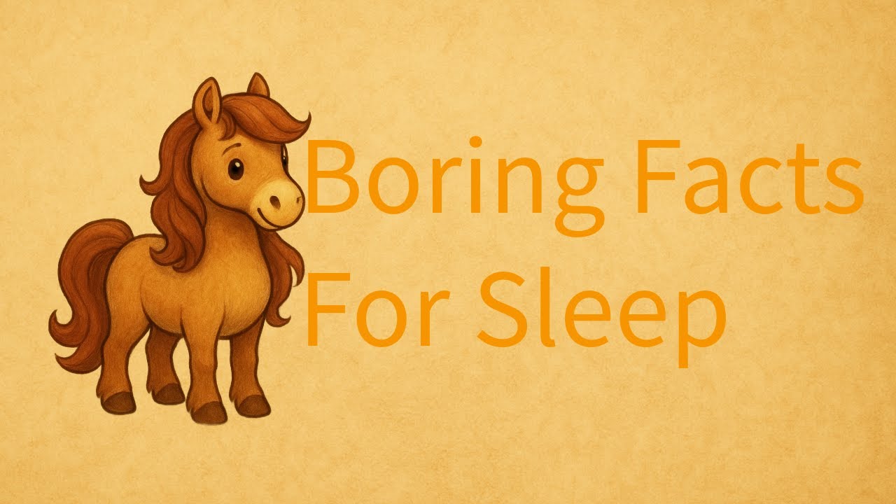 500 Facts about Horses | Boring Facts For Sleep