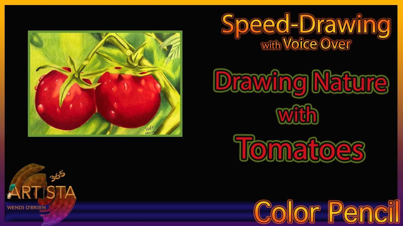 Drawing Tomatoes in Colored Pencil | Nature with Colored Pencil