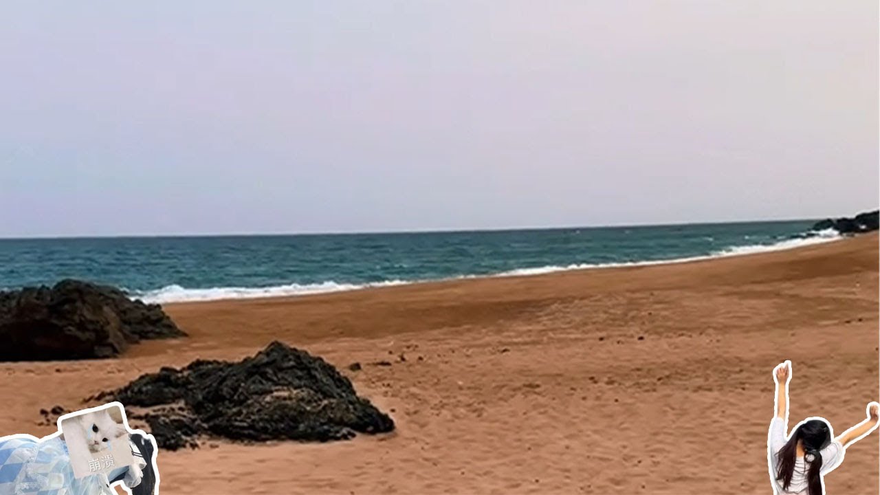 【野生小希】逃离椰岛1-11合集，快来看看小希在岛上发现了什么 #jk #food #dog #love #nature