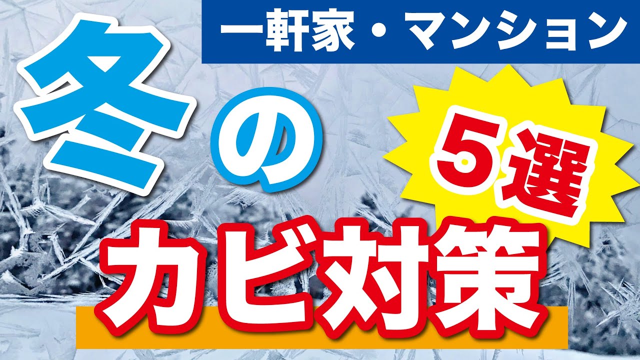 【カビ対策】プロが教える冬のカビ対策５選【超簡単】