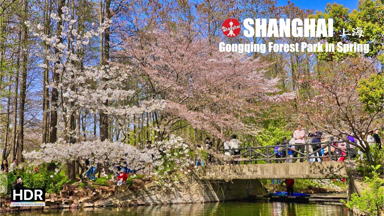 🌸 Shanghai Spring Walk 2023 - Gongqing Forest Park - 4K HDR