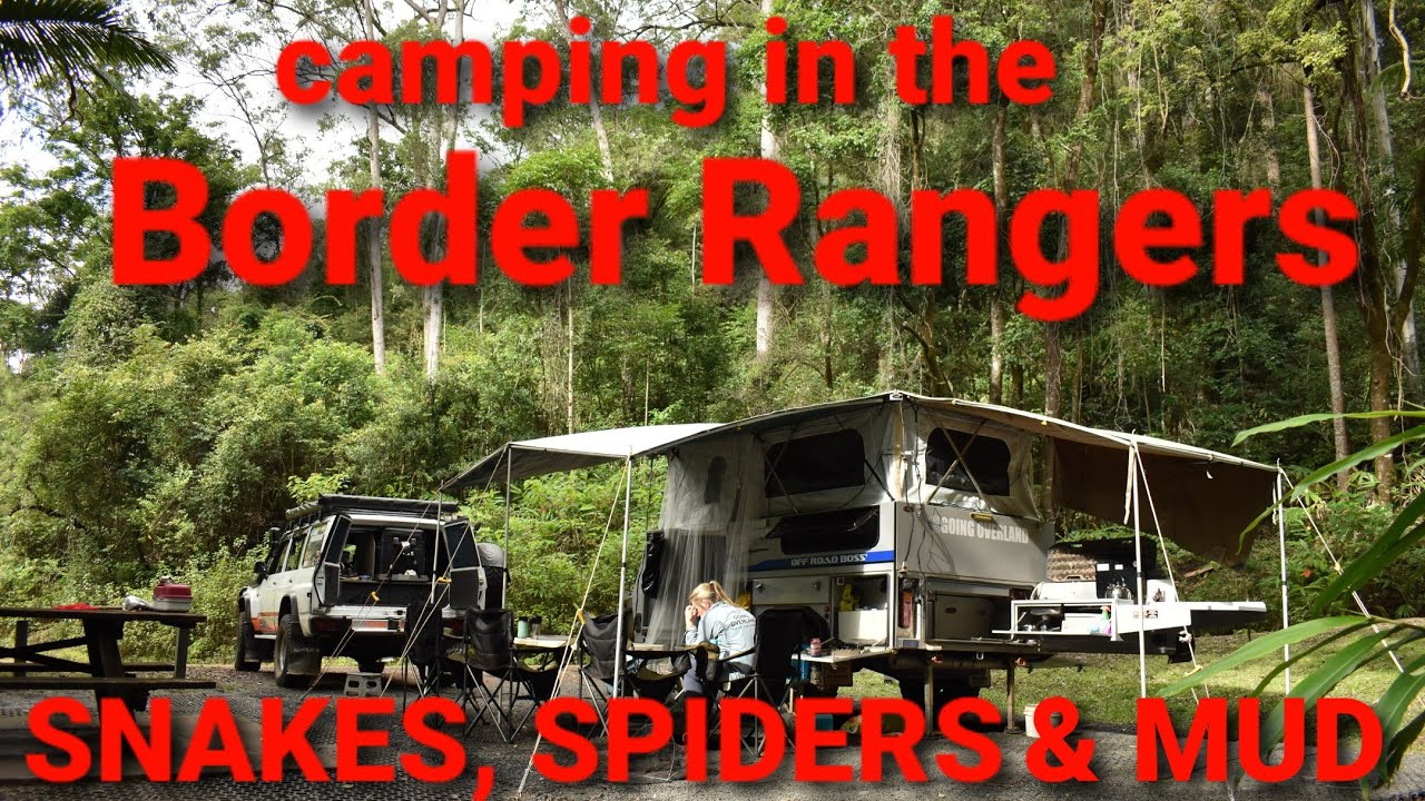 Peaceful rainforest camping until the crippy crawlies come out. Border Rangers National Park.