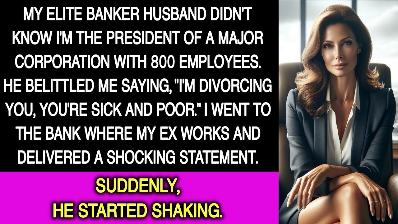 Elite Banker Husband Wants Divorce, Unaware I'm a CEO: &ldquo;I&rsquo;m Divorcing You, A Sick And Poor Person.&rdquo;
