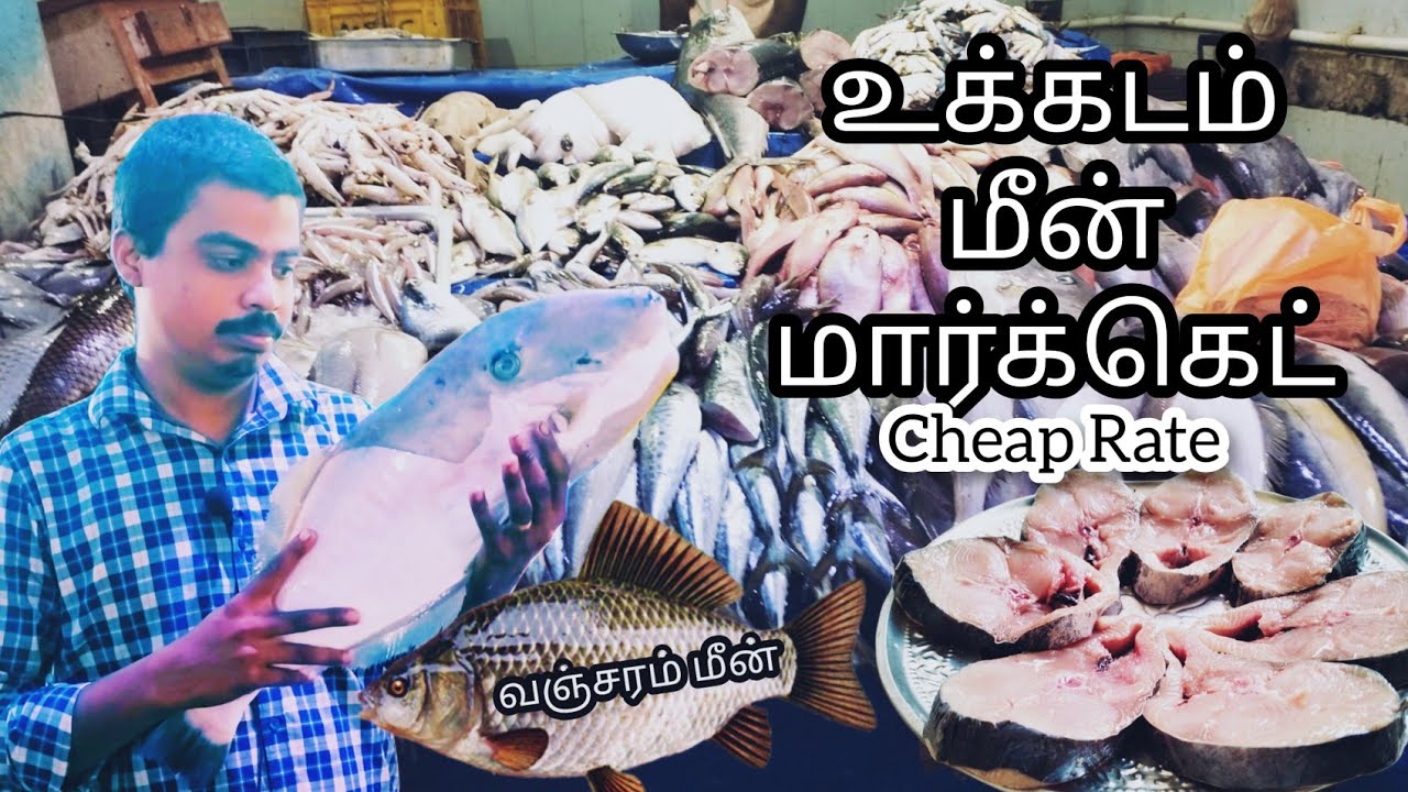உக்கடம் மீன் மார்க்கட்-Ukkadam  Wholesale Fish Market |Coimbatore #Mrskvip