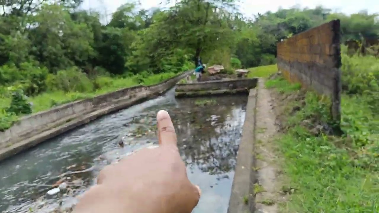 TERJUAL kolam ikan 12 kotak dan bangunan sederhana. luas 1128m. harga 450jt