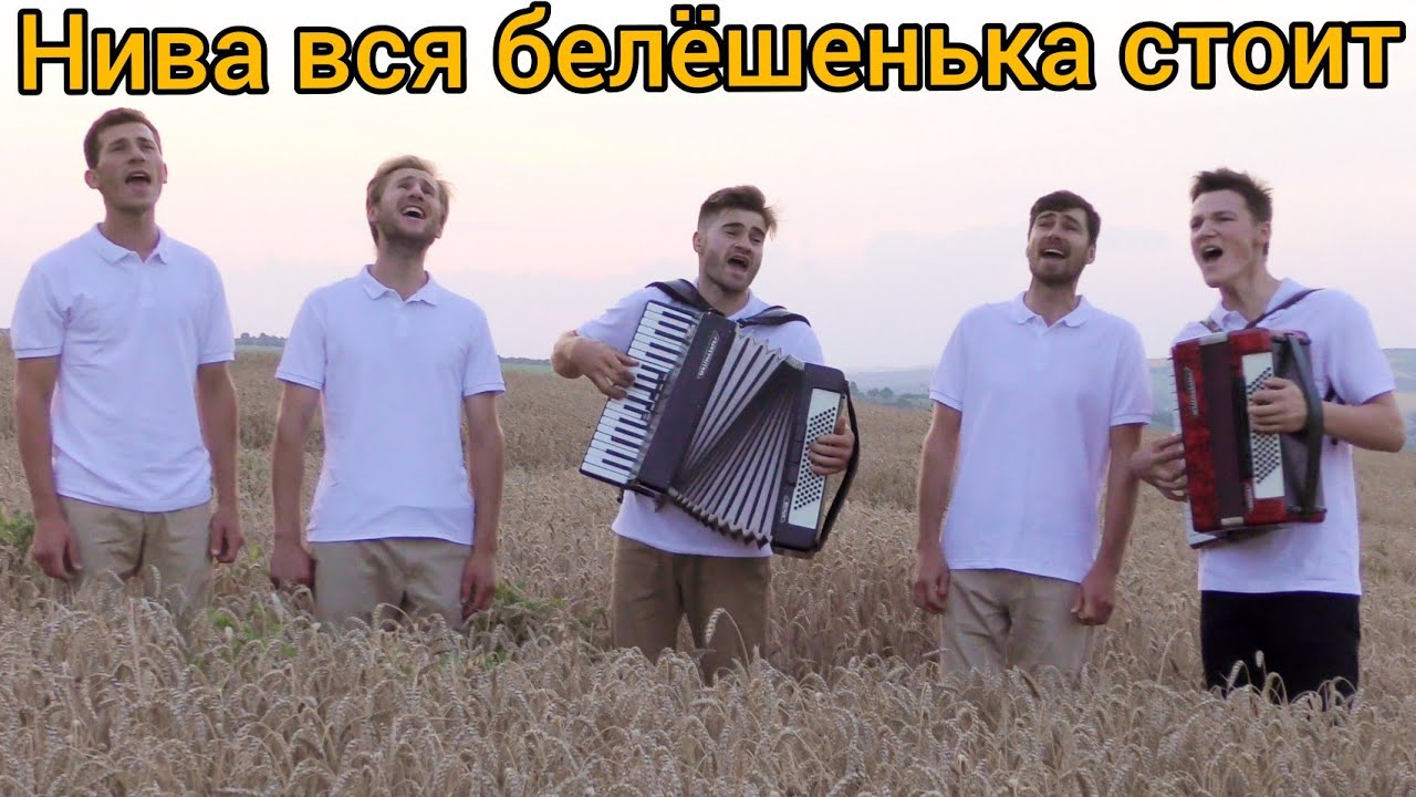Нива вся белёшенька стоит