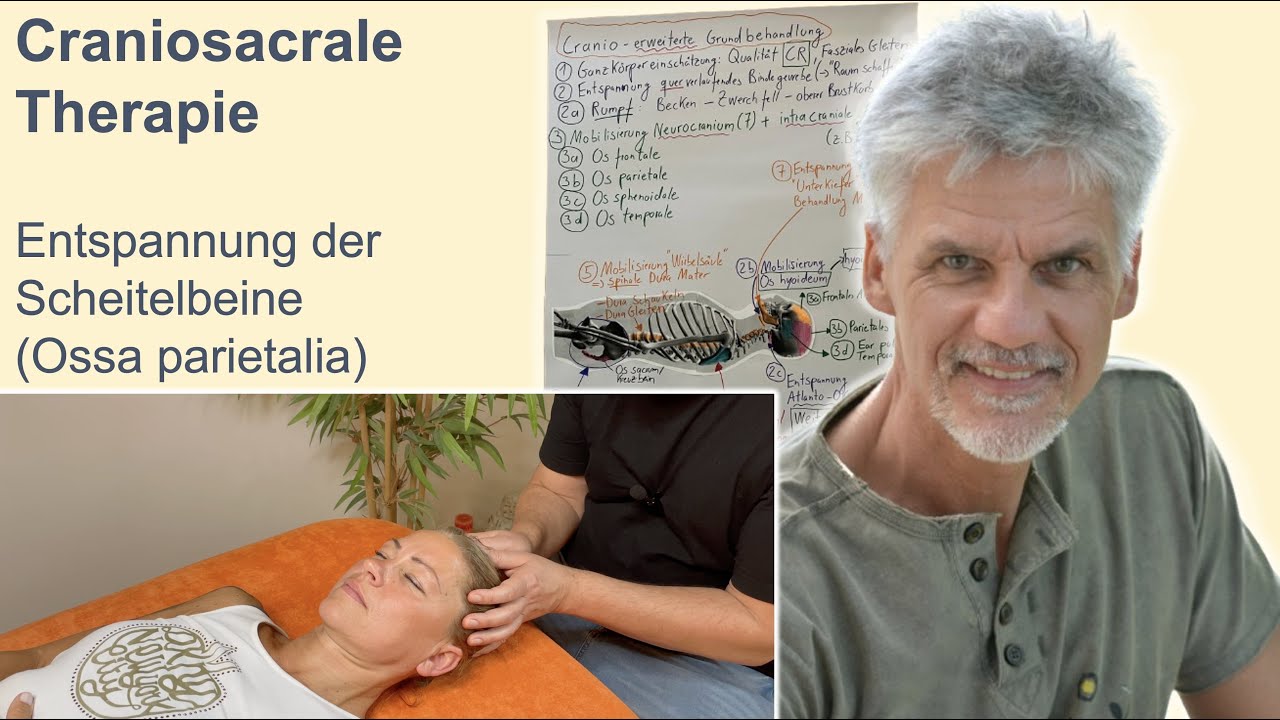 Craniosacrale Therapie (Craniosacral Therapy): Entspannung der Scheitelbeine (Ossa parietalia)