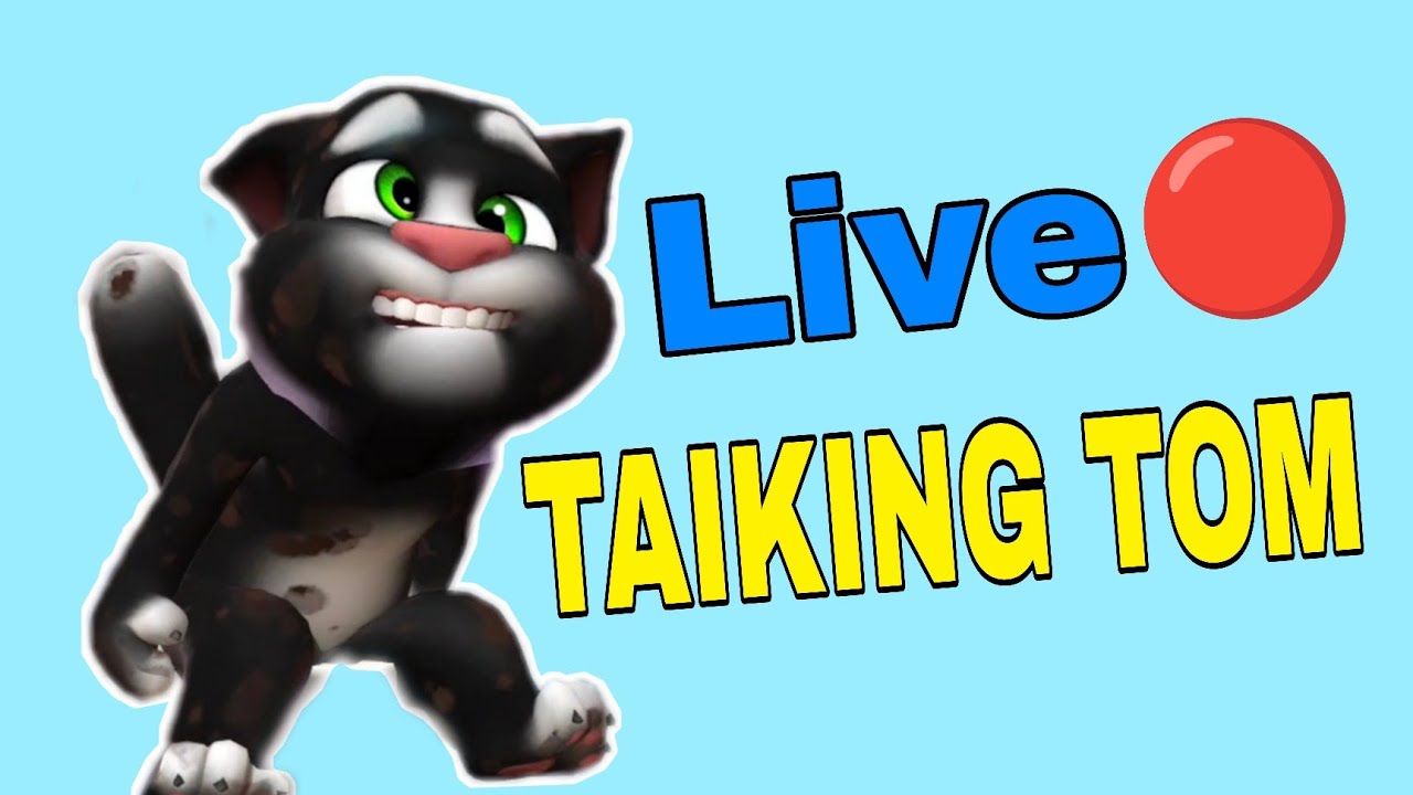 Talking Tom Fans Live Now #shortsfeed #fanlive #talkingtomlive #viral
