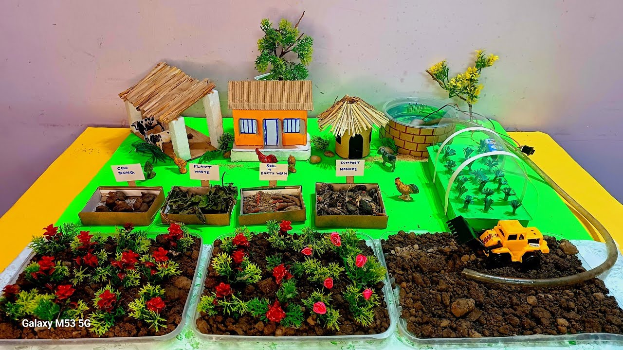 Organic Farming model | Farming model making | Agriculture project