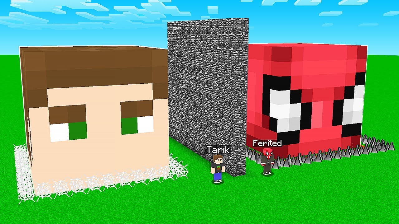 FERİTED VS MİNECRAFT #287