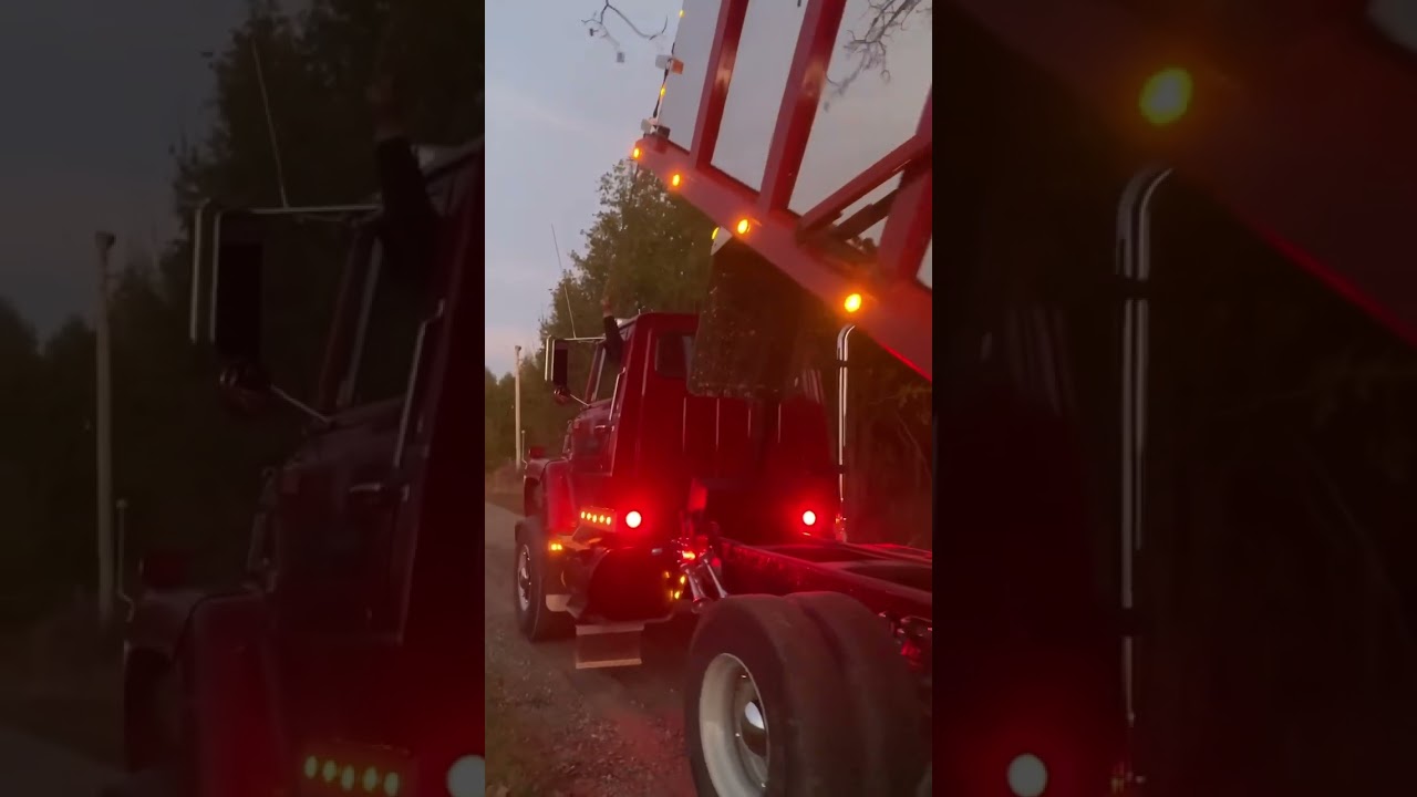 Awesome way to open tailgate from truck 😎#shorts #ford #l8000 #fyp #viral