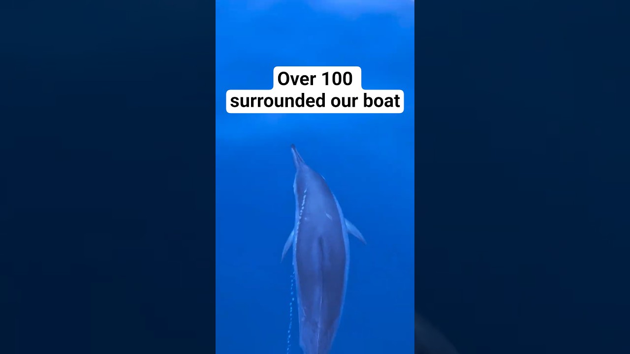 The best tour experience I've done 