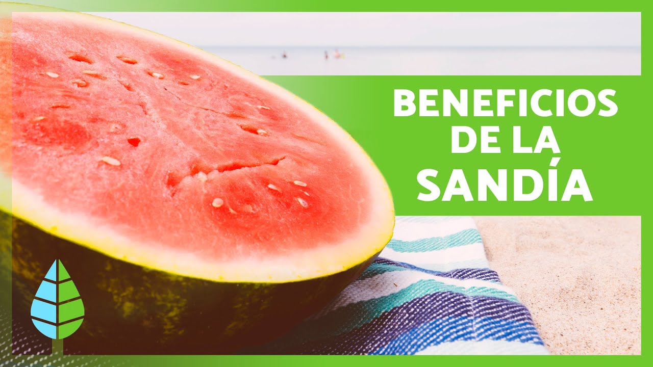 4 BENEFICIOS de la SAND&Iacute;A para la SALUD 🍉💚 (Propiedades Medicinales y C&oacute;mo Comerla)
