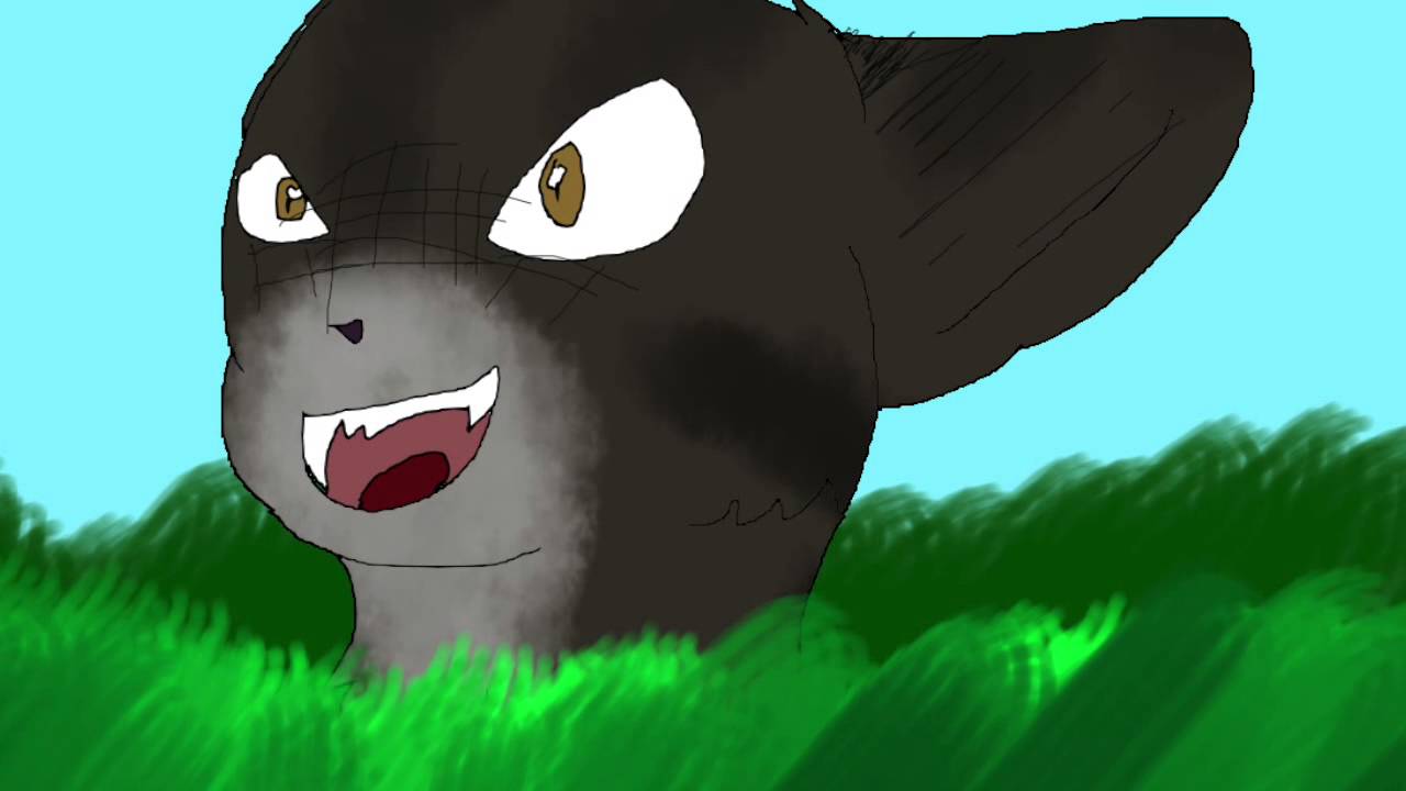 Warrior Cats AMV/PMV- This Day Aria