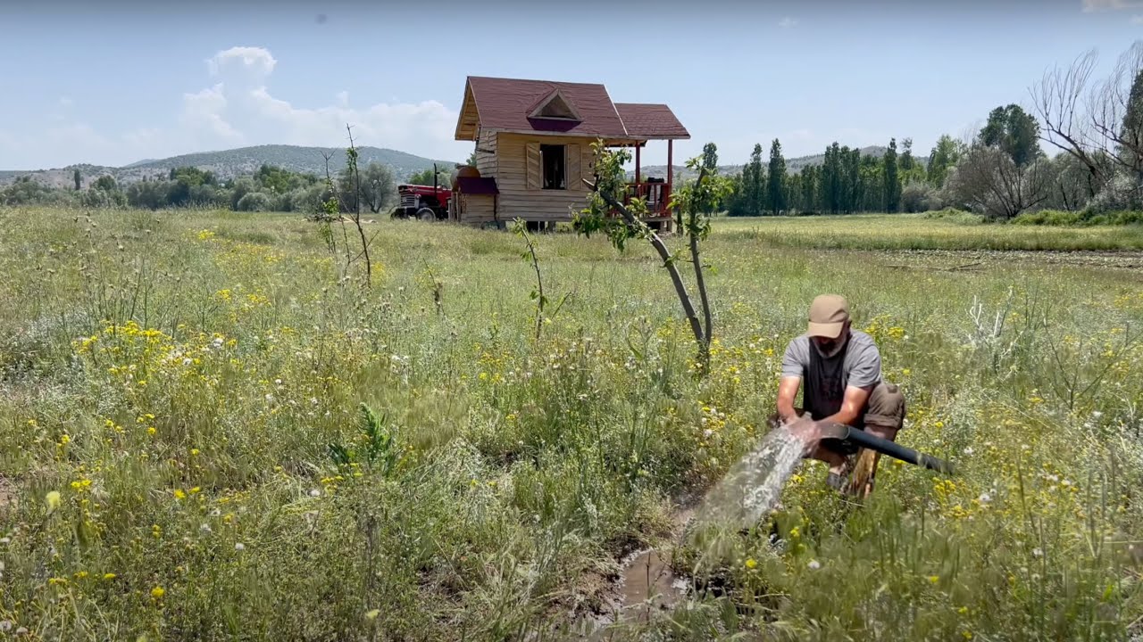 Мой деревянный дом оживает 🌿 Первый полив – вода из ручья в сад. Выпуск 11
