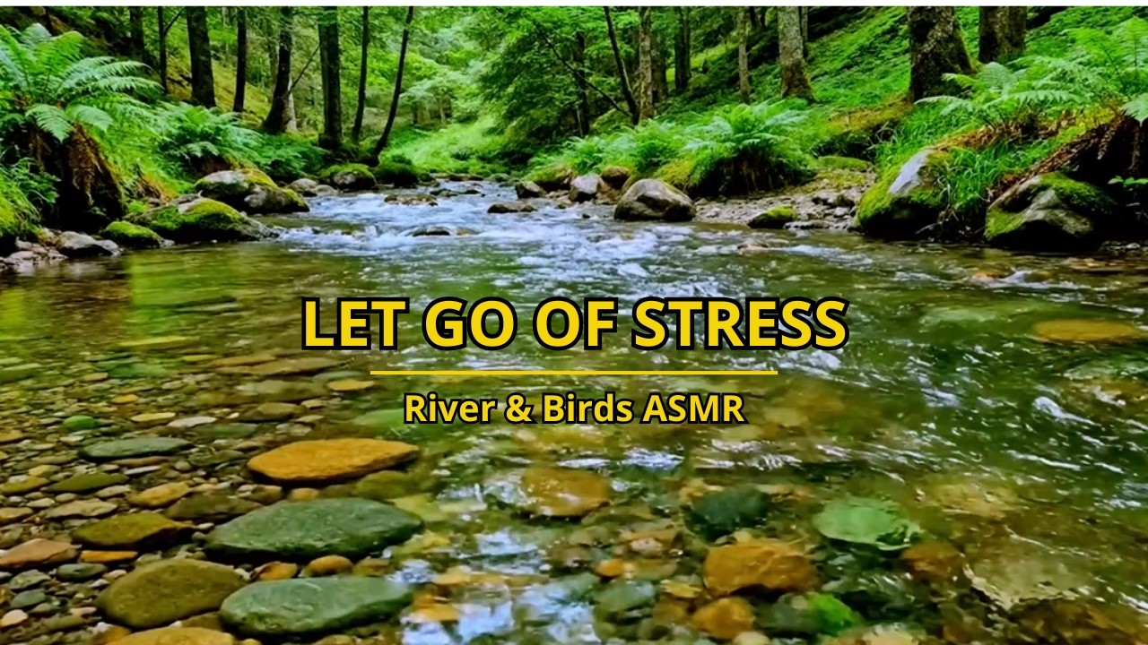 OVERTHINKING? Soothing Forest River and Birds for Sleep
