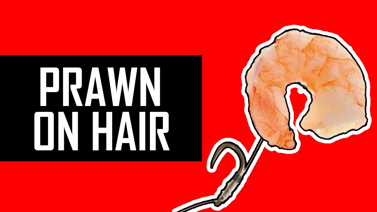 Как насадить креветку на HAIR-RIG для ловли окуня и карпа?