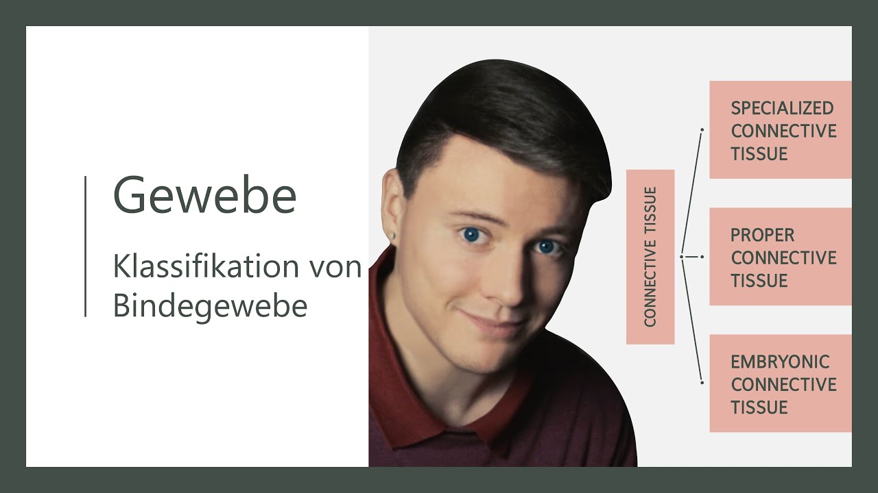 Klassifikation von Bindegewebe, ausführlich