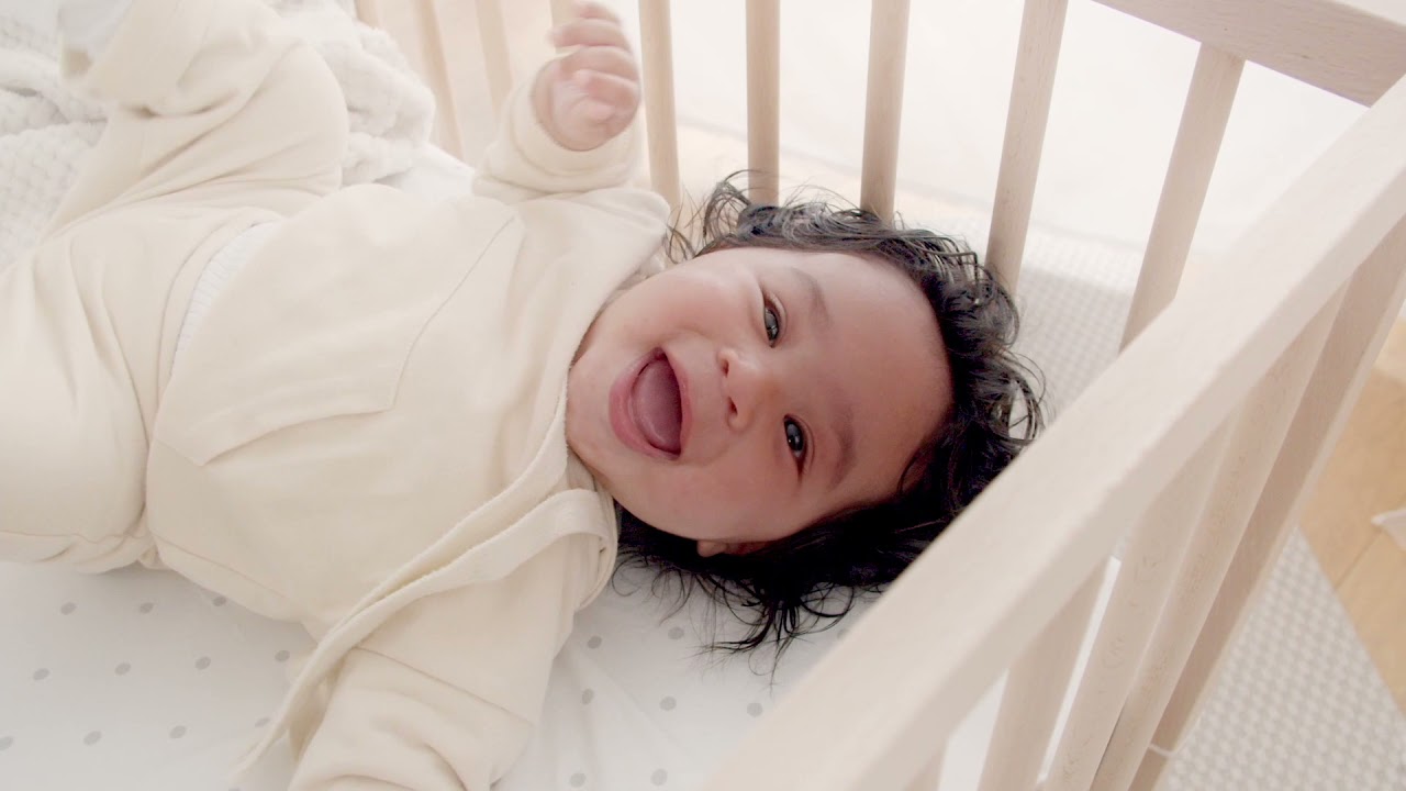 Stepherd - Beste Vriend