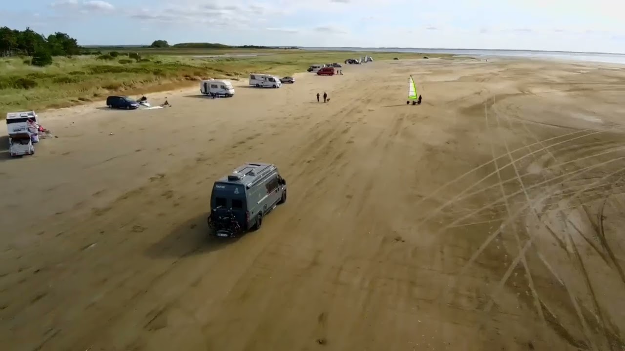 Greyhound on tour / Rom&ouml; Beach