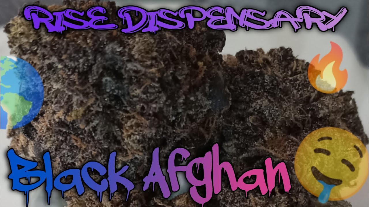 #93 Black Afghan (Official Video Product Review) Rise Dispensary Product