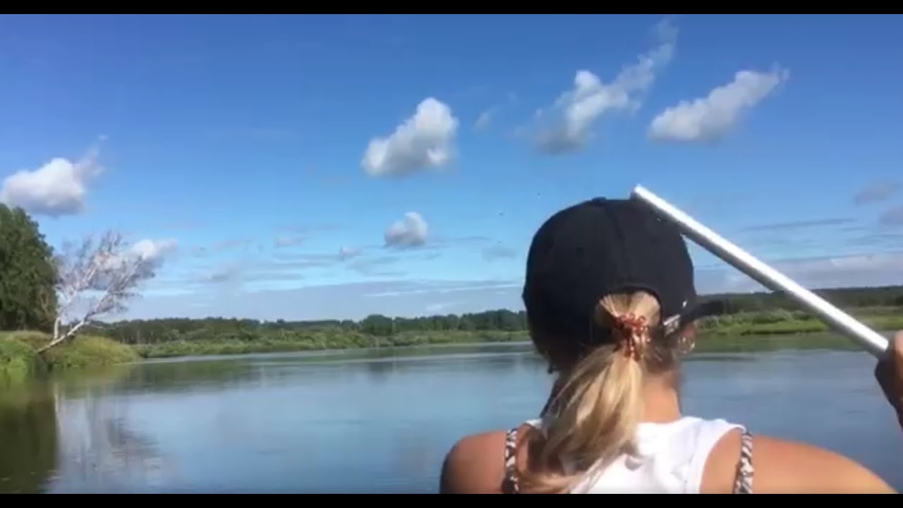 Полное видео: Сплав по реке Иня, через дикие места (32км маршрут), аисты, перекаты