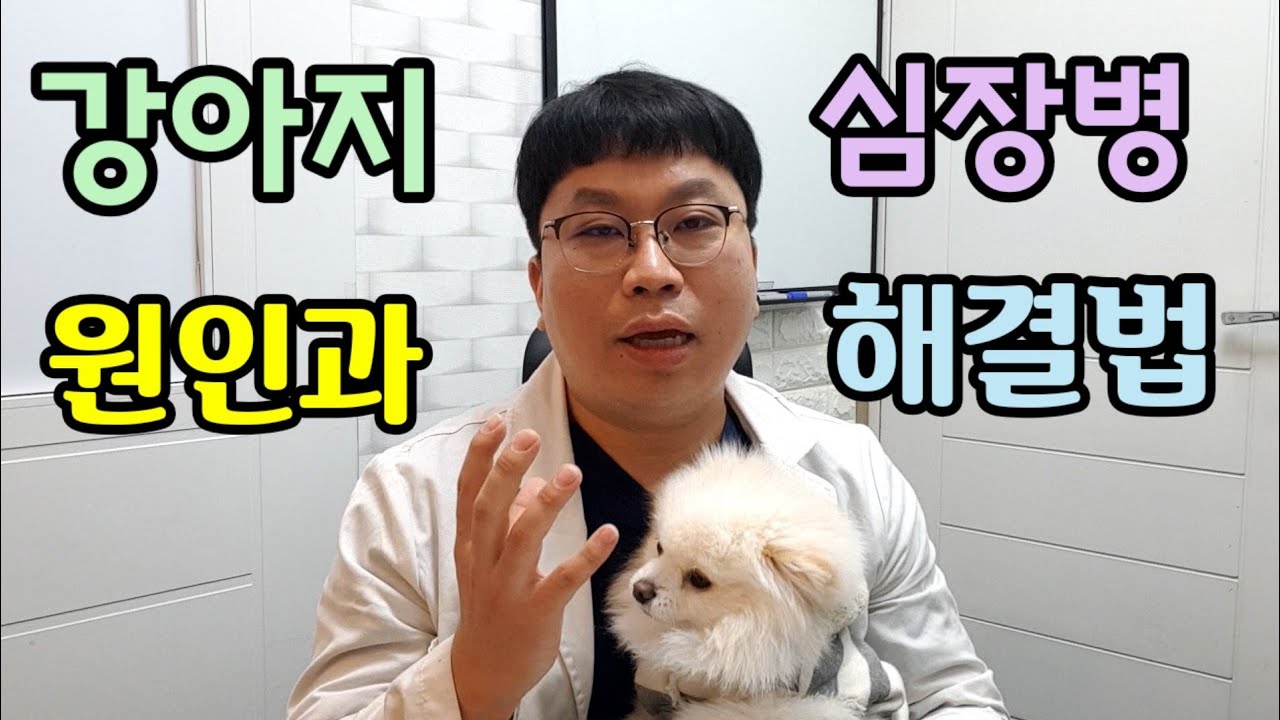 강아지 심장병 원인과 해결법 (1부)