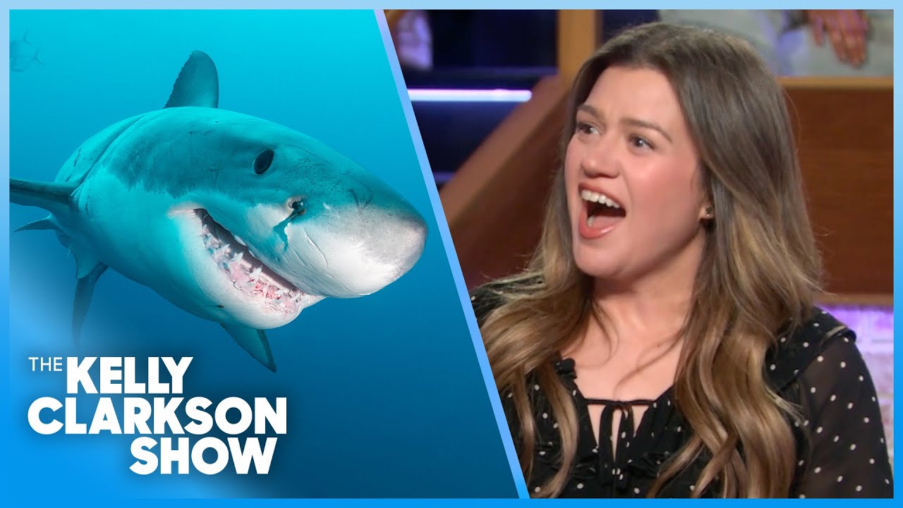 Kelly Clarkson Gets A Shark Named After Her!