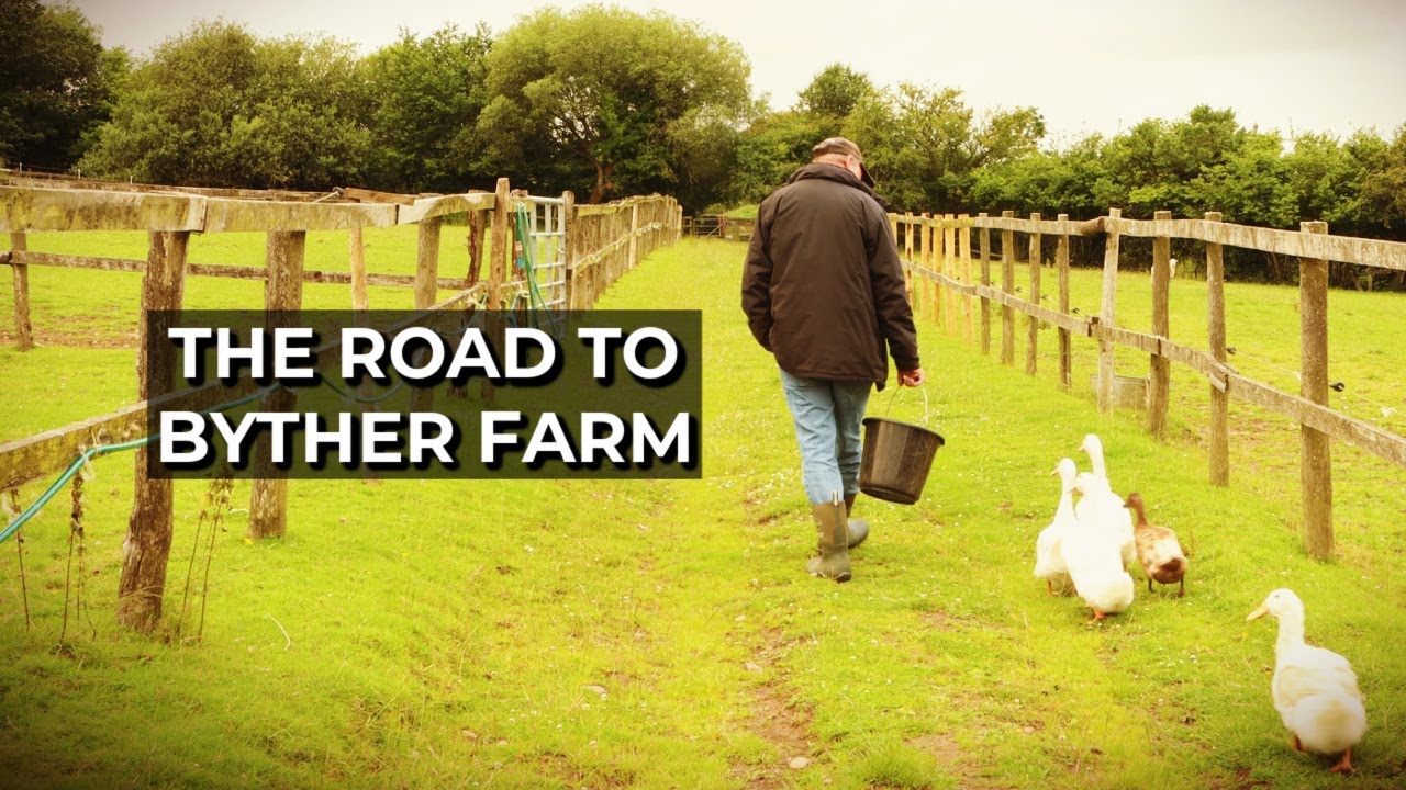 The Past and the Future | The story behind the move to the country