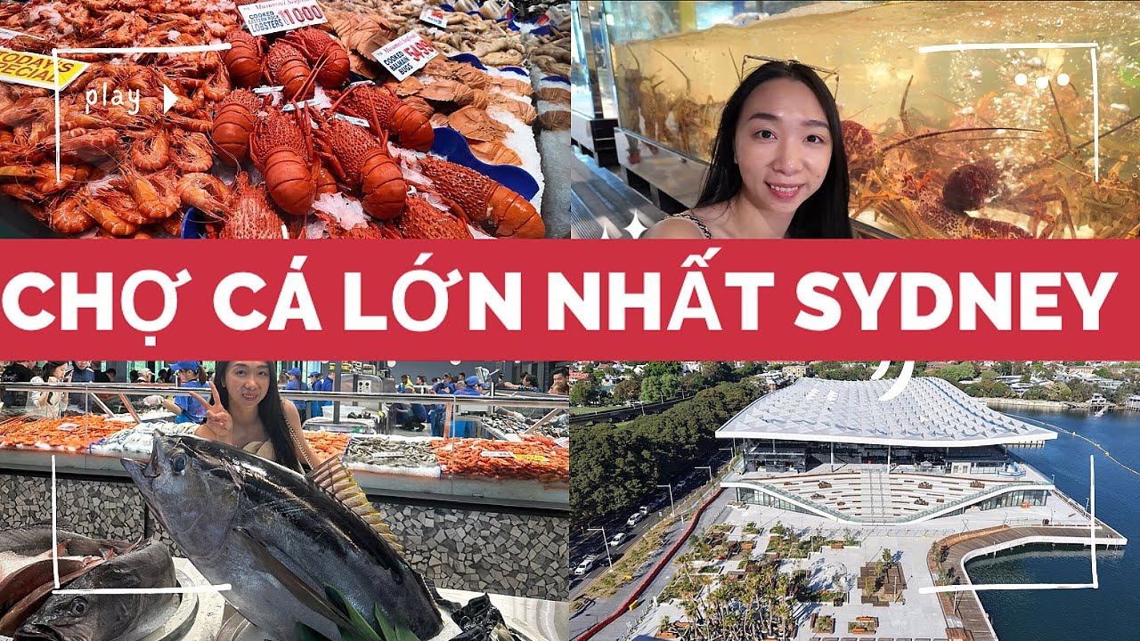 Du lịch Sydney, Úc 🌊 Chợ cá lớn nhất vừa khánh thành | Sydney’s brand-new fish market 🐟