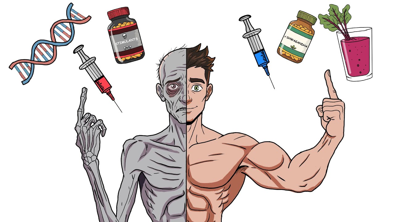 Every Performance Enhancer Explained (And What They Actually Do)