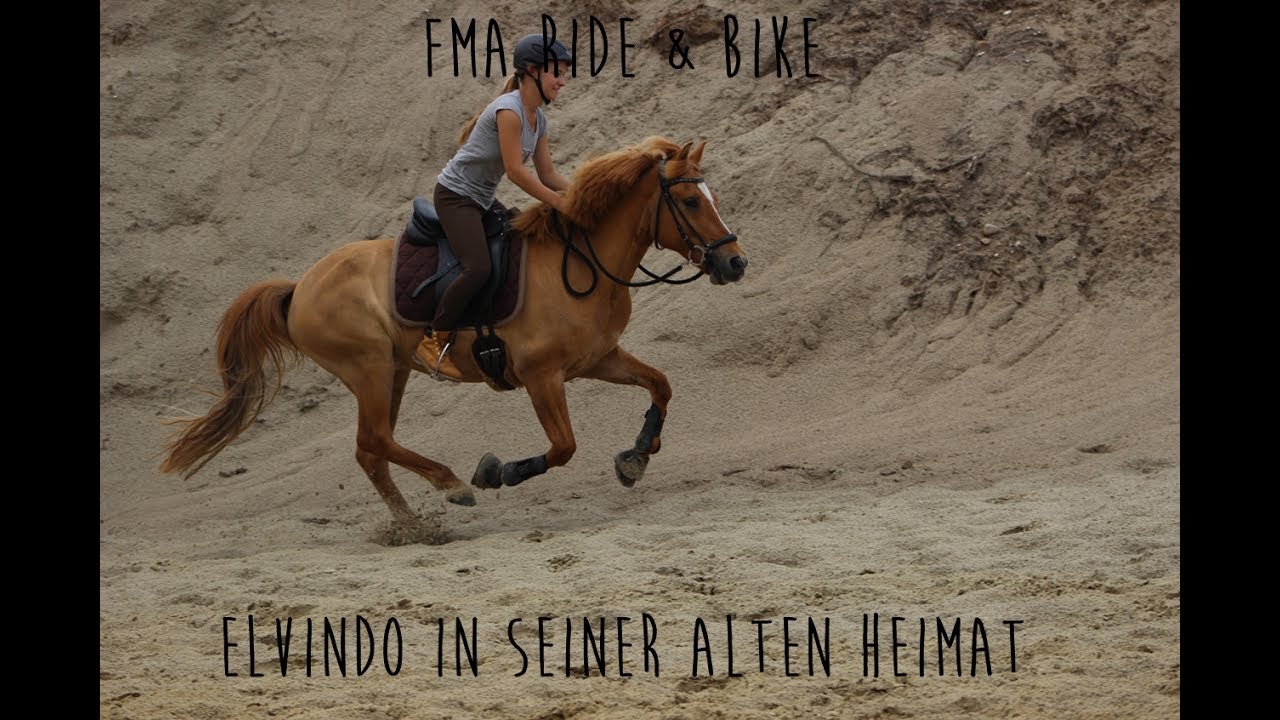 FMA - Ride & Bike - mit den Pferden im Urlaub