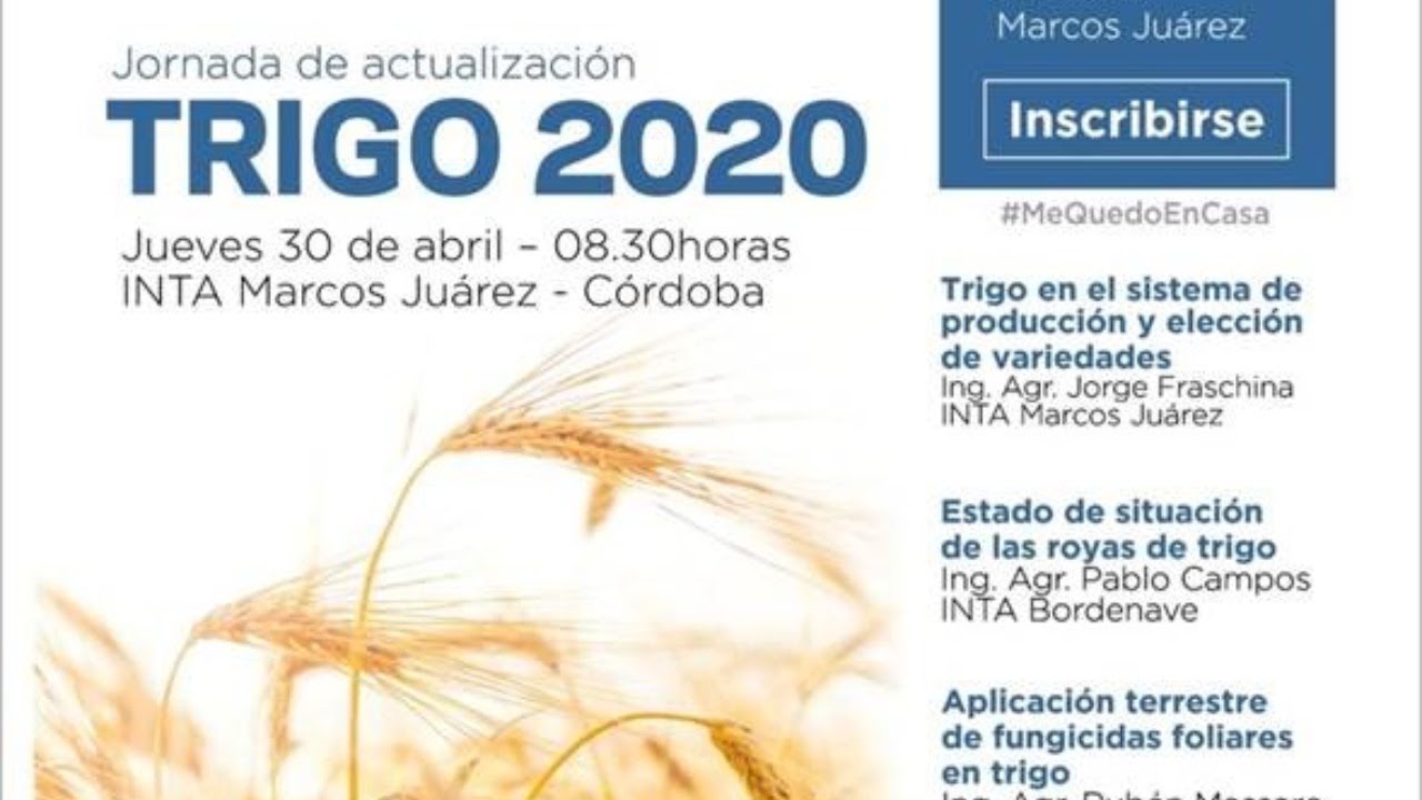 INTA Marcos Juárez online - Jornada de actualización en trigo