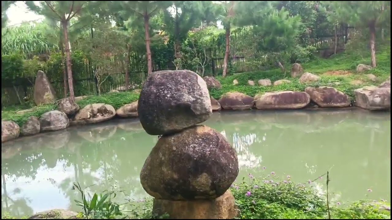 KHU NHÀ VƯỜN NGHỈ DƯỠNG, VIEW ĐỒI SĂN MÂY. 6500m2 có 400m2 Thổ Cư _ Bảo Lâm Lâm Đồng 105m Mặt Đuờng