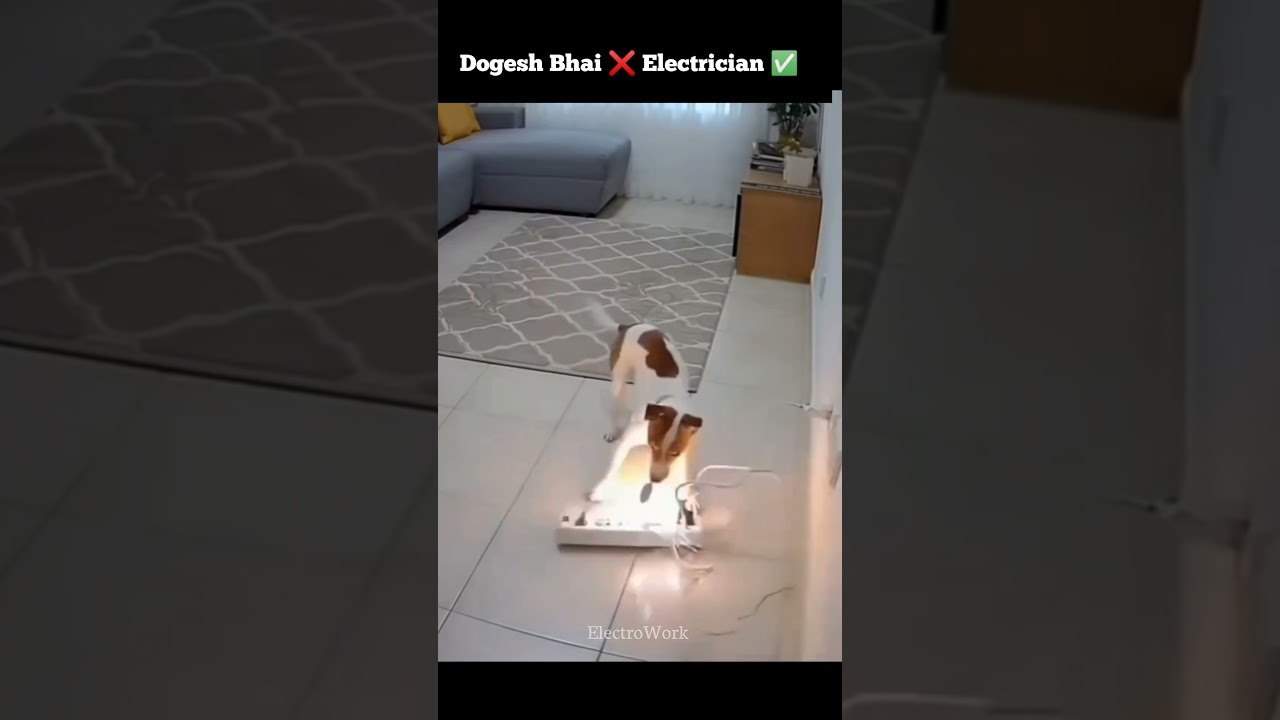 Dogesh Bhai ❌ Electrician Dogu✅